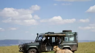 Zázračná planéta: Dynastie - film o cykle