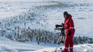 Zázračná planéta: Dynastie - film o cykle