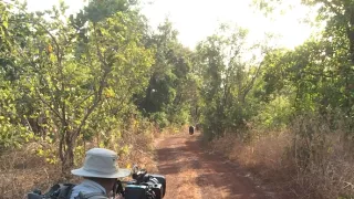 Zázračná planéta: Dynastie - film o cykle