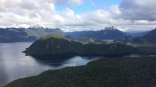 Delfíni jižních moří