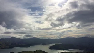 Delfíni jižních moří