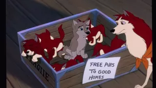 Balto II: Na vlčí stezce