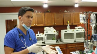 Pohotovosť pre exotické zvieratá (3)