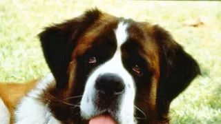 Beethoven
