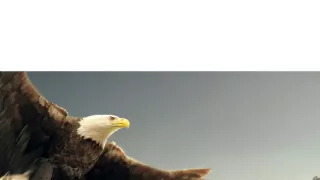 Začalo to v Yellowstonu - národní parky USA a jejich příroda