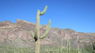 Nespútané Mexiko (2)