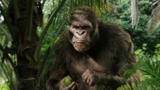 Poslední tajemství lidstva