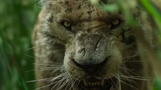 Poslední tajemství lidstva