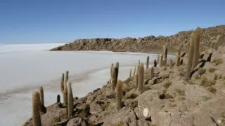 České stopy v rastlinnej ríši Latinskej Ameriky