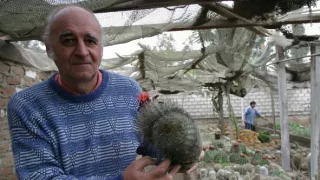 České stopy v rastlinnej ríši Latinskej Ameriky