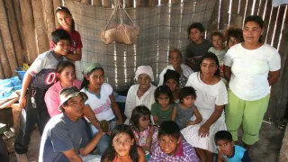 České stopy v rastlinnej ríši Latinskej Ameriky