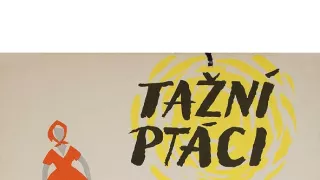 Tažní ptáci