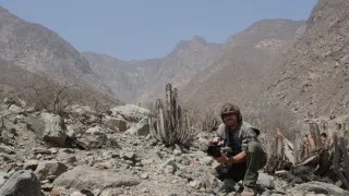 České stopy v rastlinnej ríši Latinskej Ameriky