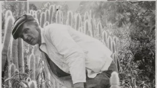 České stopy v rastlinnej ríši Latinskej Ameriky