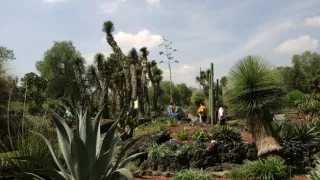 České stopy v rastlinnej ríši Latinskej Ameriky