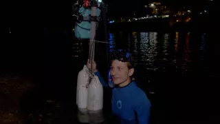 Zvuky prírody (1/3)