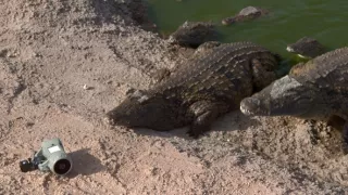 Zvuky prírody (1/3)