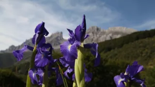 Divoké Španělsko (1/2)