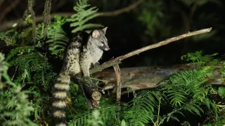 Divoké Španělsko (1/2)