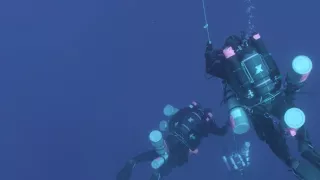 Hľadanie trójskeho koňa