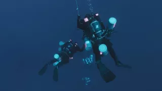 Hľadanie trójskeho koňa