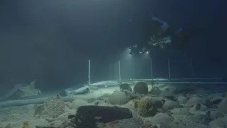 Hľadanie trójskeho koňa