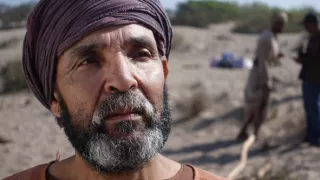 Hľadanie trójskeho koňa