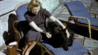 Tretia ríša vo farbe