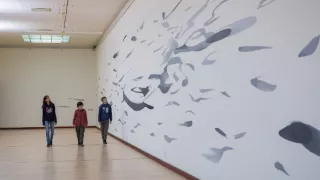 Já budu Einsteinem!