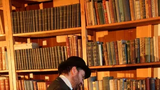 Tajemství Věstonických venuší