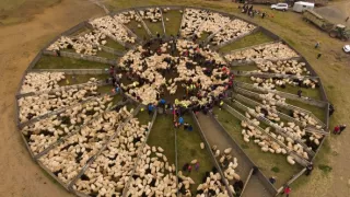 Island - elfovia, ľad a oheň