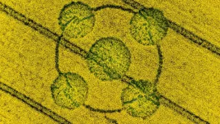 Vetřelci dávnověku XV (14)