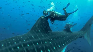 Posledné prírodné raje (2/6)