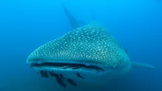 Posledné prírodné raje (2/6)