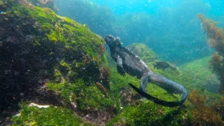 Posledné prírodné raje (2/6)