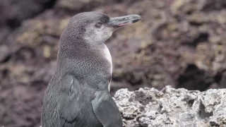 Posledné prírodné raje (2/6)