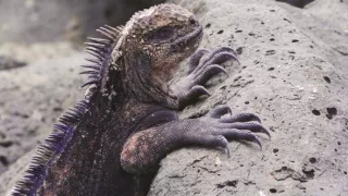 Posledné prírodné raje (2/6)