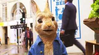 Králíček Petr bere do zaječích