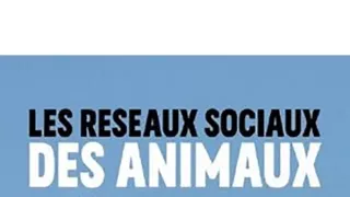 Zvířecí sociální sítě (2)