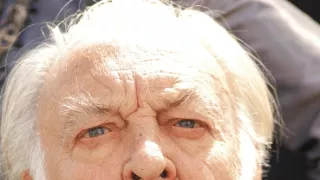 Vraždy v Midsomeri XI (2)