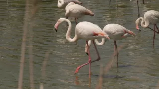 Klenoty svetového dedičstva UNESCO (2/6)