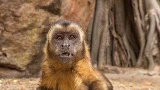 Šampioni přírody (1)