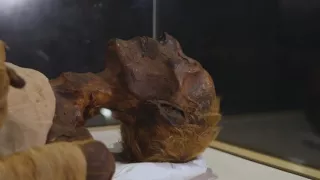 Champollion a Ramzesa II.: Stretnutie na Níle