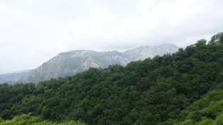 Království divočiny: Medvěd ušatý, Japonsko