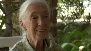 Jane Goodall - nová generácia