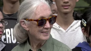 Jane Goodall - nová generácia