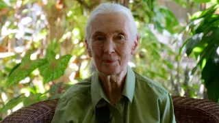 Jane Goodall - nová generácia