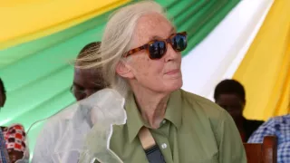 Jane Goodall - nová generácia