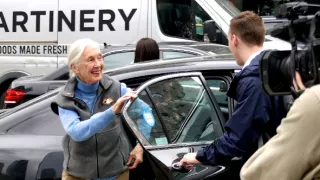 Jane Goodall - nová generácia