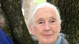 Jane Goodall - nová generácia